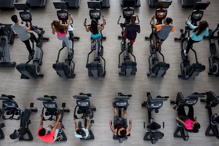 Members using cardio equipment